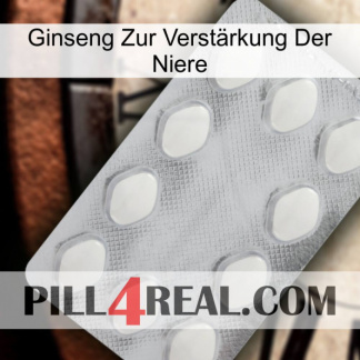 Ginseng Zur Verstärkung Der Niere 16